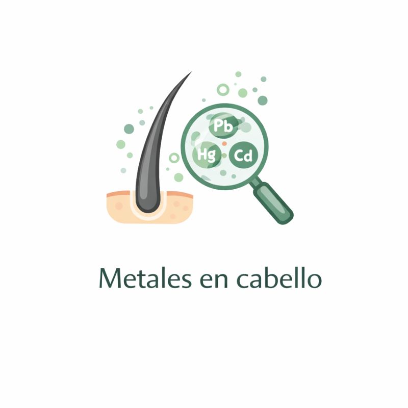 Metales pesados en cabello